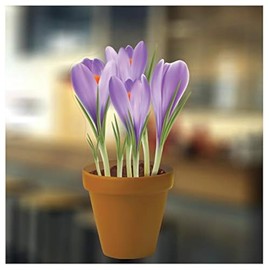 Small Crocuses in a Pot Flower Window Sticker - Static Cling Windows Decoration or Garden Decor for Greenhouse
