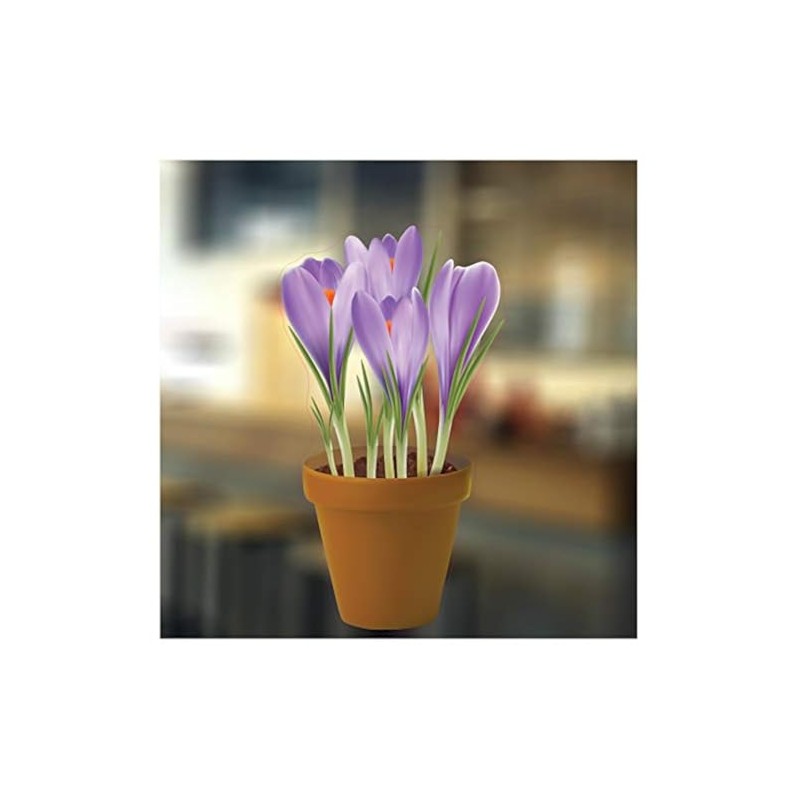 Small Crocuses in a Pot Flower Window Sticker - Static