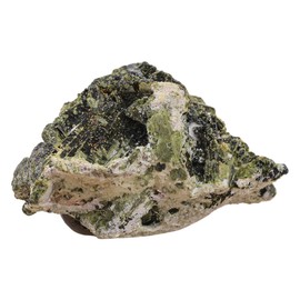 Artischockenblätterextrakt | vegan | laborgeprüft