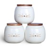 Koolkatkoo Ceramic Cat Canister Set Coffee Tea Sugar Food Storage