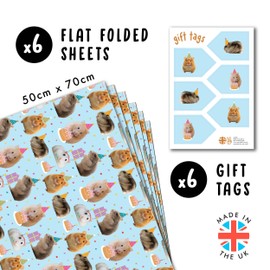 Cute Animal Wrapping Paper - Hamster, Birthday Hat, Food Theme - 6 Sheets of Giftwrap for All Ages Family Friends - All Occasion Birthday - Comes With Stickers by Central 23