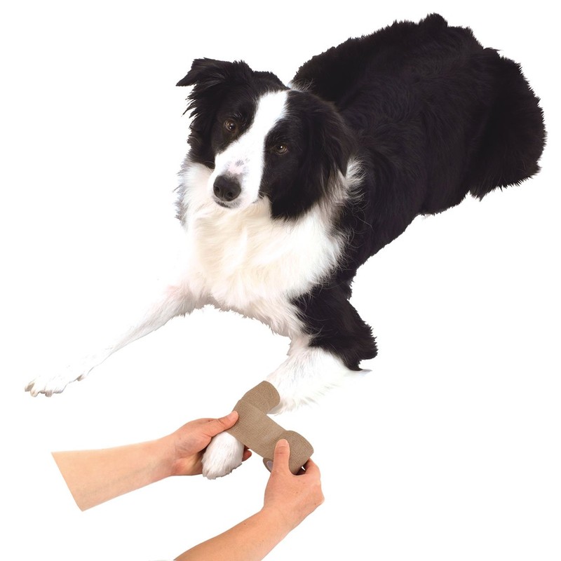 ペティオ (Petio) ずっとね 巻くだけ伸縮包帯 犬用