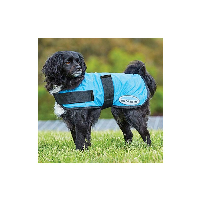 WeatherBeeta Therapy-Tec Cooling Dog Coat, Blue, 35cm
