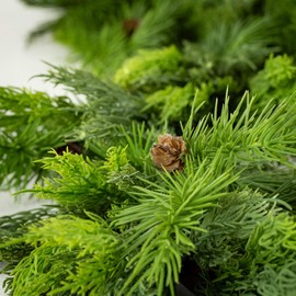 Sullivans 6' Lush Green Cedar Garland, Christmas Decor, Artificial Greenery, Perfect for Fireplace Mantels, Dining and Living Rooms