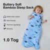 BubblePanda Rayon Made from Bamboo Sleep Sack 18-24 Months 1.0