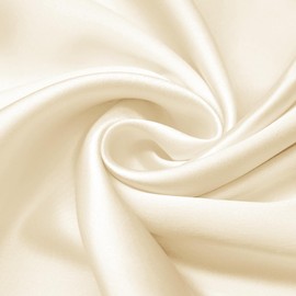 OLESILK 100% Mulberry Silk-Pillowcase for Hair and Skin, Queen Size Silk-Pillow-Cases with Hidden Zipper, Both Side Natural Pure Silk, Light Champagne, 1 Pack