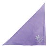 Schecker Lilac 65 cm Embroidered Dog Bandana with Text Princess