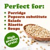Food to Live Organic Great Plains White Sorghum Grain, 1