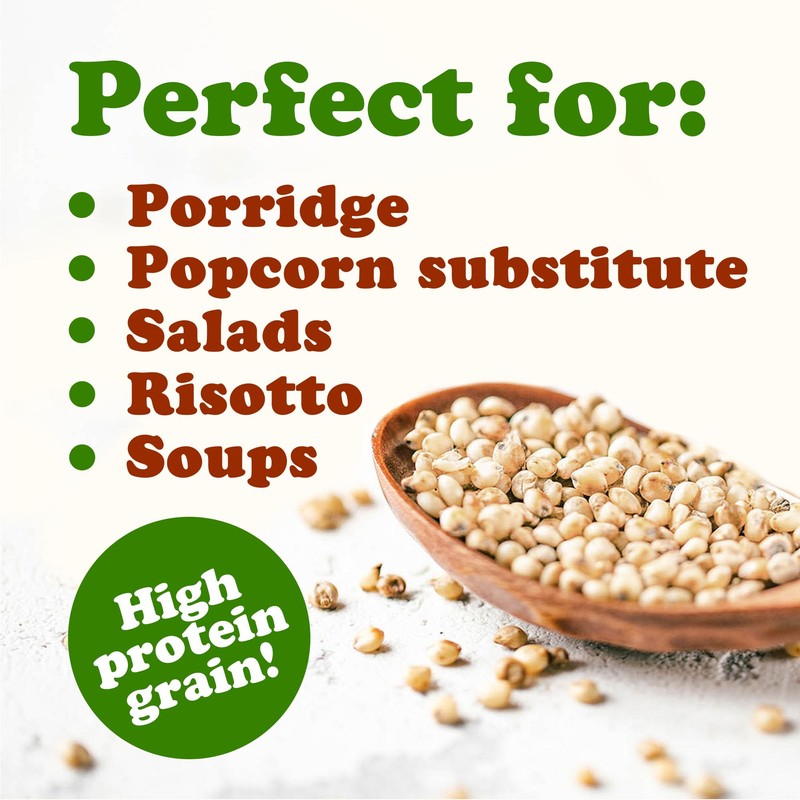Food to Live Organic Great Plains White Sorghum Grain, 1