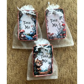 Handmade 6 Alice in Wonderland Take Me party favor birthday shower organza bag
