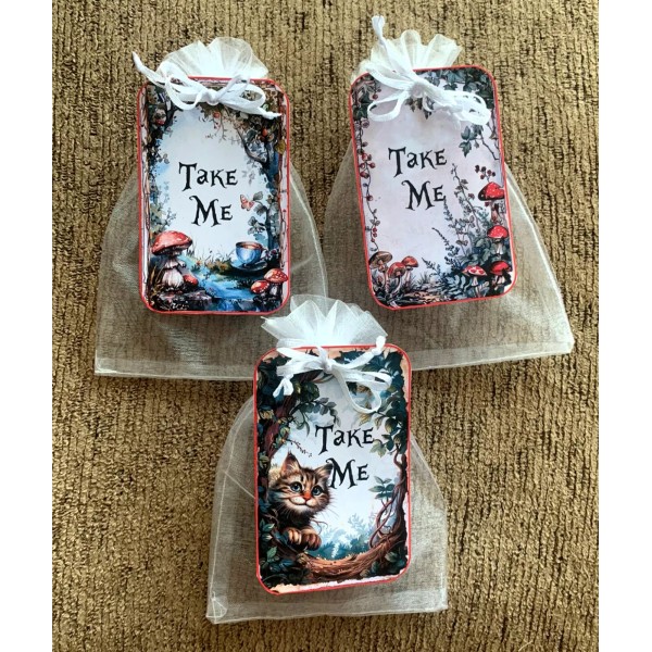 Handmade 6 Alice in Wonderland Take Me party favor birthday