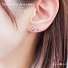 Adelina Style Titanium Earrings, Silver Ball, Round Ball Earrings, 1