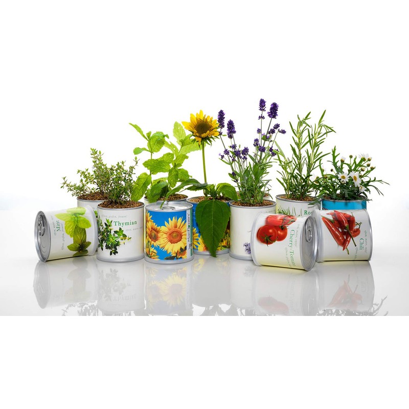 MacFlowers Small Growing Set with Cornflower Design White Edition Gift
