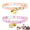 Cat Collars, Set of 2, Cat Collars, Safety Buckle with