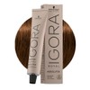 Schwarzkopf Igora Absolutes 6-50 60 ml Pack of 6 (6