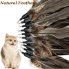 CATDABIR Cat Feather Toys Refills Da Bird Cat Toy, 10