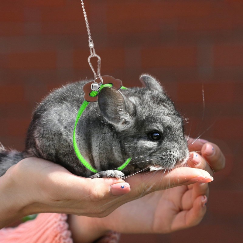 HOKABLE 2 Pack Adjustable Hamster Leash Harness for Harness for