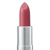 Ferm Proof Bright Rouge 3.6 g