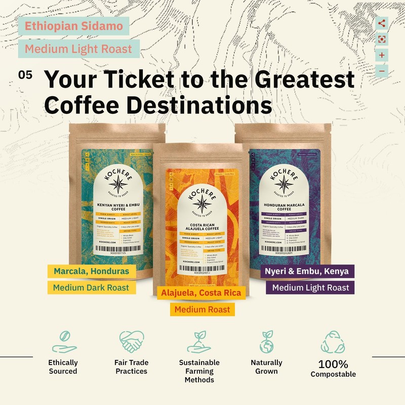Ethiopian Sidama Coffee Beans - Single Origin Medium Light Roast