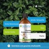 BIOHERBA Prostata Kräuterformel Tropfen – 100ml Tinktur – Unterstützt Makronährstoff-,