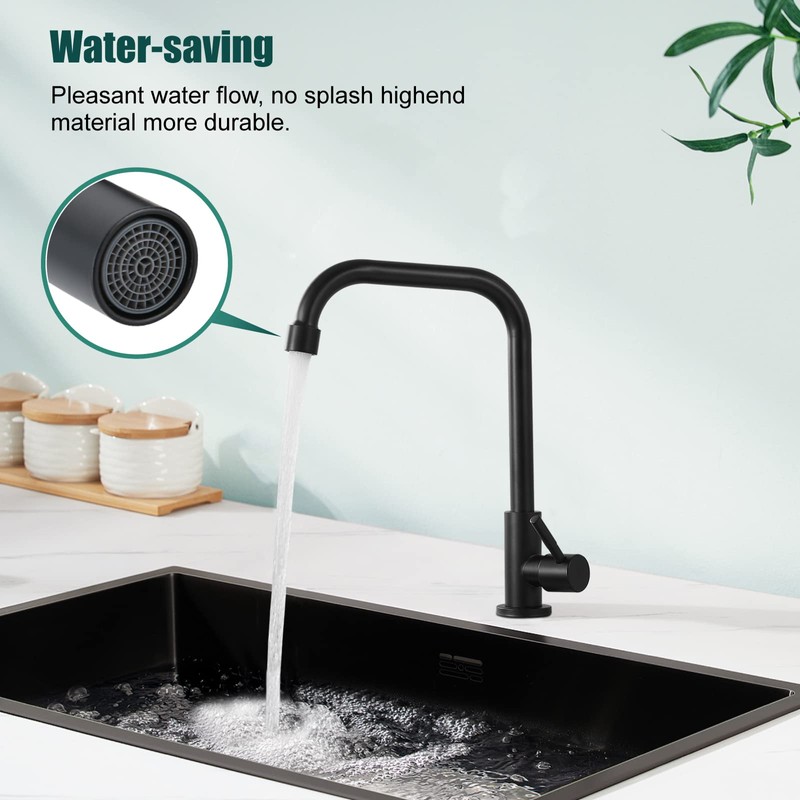 Heyalan Matte Black Faucet Cold Water Only Single Lever Handle