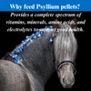 SU-PER Psyllium Pellets Equine Supplement - Maintains Healthy Digestive Tract