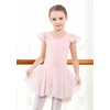 DIPUG Ballet Leotards for Girls Toddler Dance Leotard Shiny Skirts