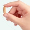 에버비키니 그린컷 녹차 카테킨 다이어트 보조제 24g 30정 1개 30정