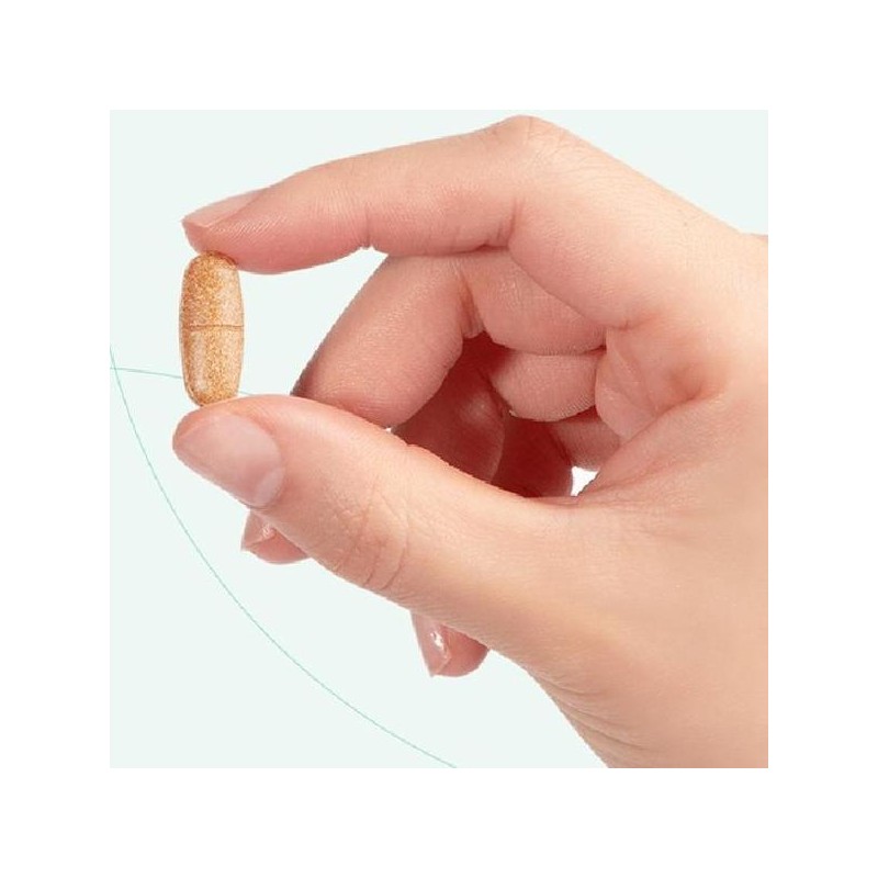 에버비키니 그린컷 녹차 카테킨 다이어트 보조제 24g 30정 1개 30정