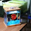 hygger 50W Mini Submersible Digital Display Aquarium Heater for Small