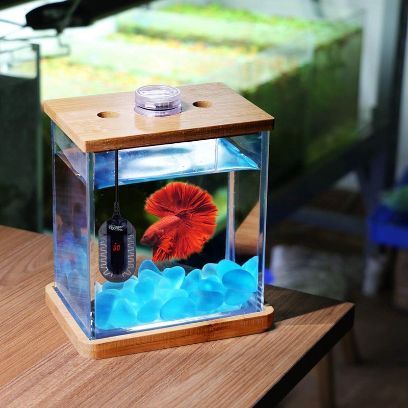 hygger 50W Mini Submersible Digital Display Aquarium Heater for Small