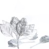 Factory Direct Craft Silver Glitter Trimmed Rose Leaves
