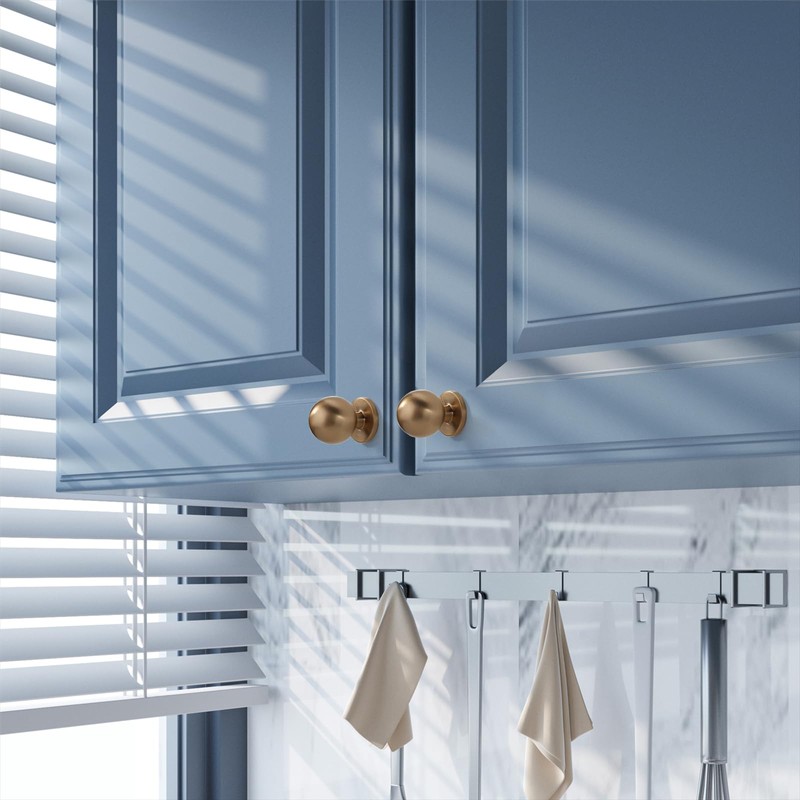 Asidrama 10 Pack Champagne Bronze Kitchen Cabinet Knobs, Cabinet Knobs