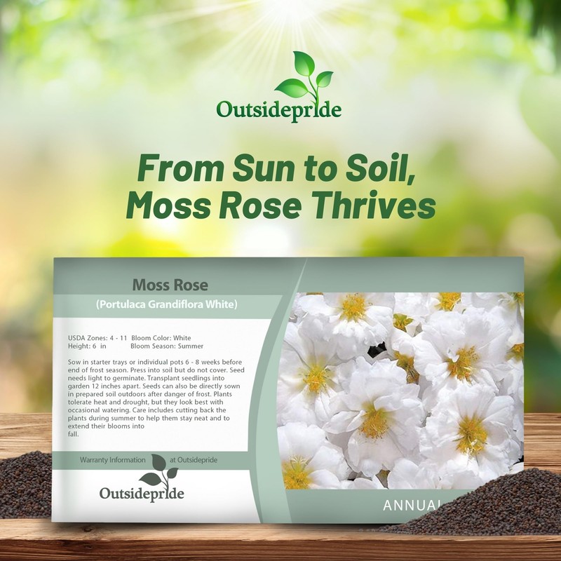 Outsidepride White Moss Rose Seeds - 5000 Pcs Annual, Drought