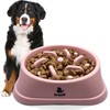 Anti-Glouton Dog Bowl | Slow and Healthy Eating, Promotes Animal