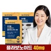 Vitamin Village 트리플 프로폴리스 플라보노이드 40mg 그린프로폴리스 3박스 총3개월분 Triple
