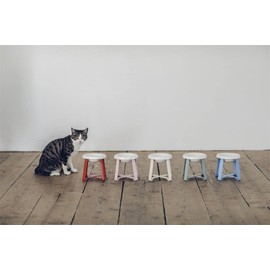 Ceramic Cat Bowl,Small Dog Bowl,Elevated Cat Food Bowl for Protecting Spine,Easy to Clean,Aesthetic,High End and Modern,pecolo