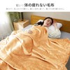 AIFY Blanket, Single Blanket, Microfiber, Extra Flannel, Warm, Lightweight, Large,