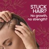 Tio Nacho Ginseng Shampoo with Royal Jelly, Herbal Hair Growth