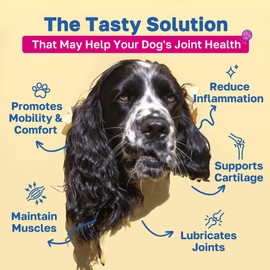 Happy Paws Mobility Hip & Joint Health Support for Dogs, Soft Chews with Glucosamine, Chondroitin, Msm, Green Lipped Mussel, Turmeric & Hyaluronic Acid, Organic, Vegan, Bacon Flavor, 200 Count