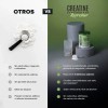 Birdman Creatine Refresher | Creatina Monohidratada con Electrolitos, Magnesio y