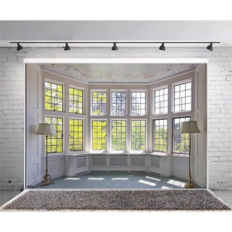 CSFOTO Polyester 8x6ft Big Bright Window Backdrop Zoom Room Background