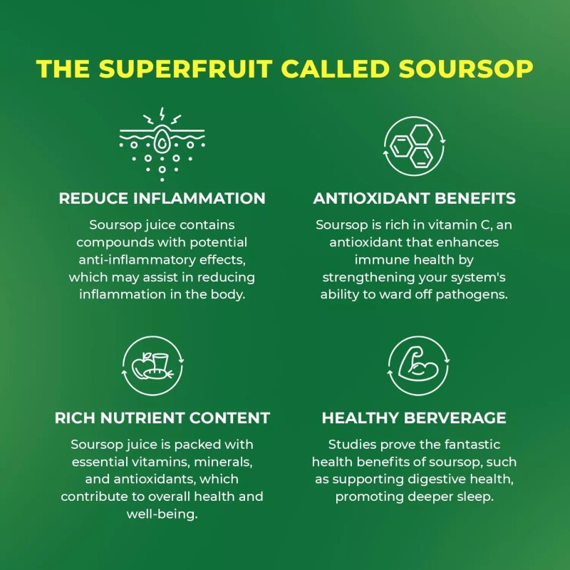 Vinut Soursop with Pulp Juice Drink – Natural & Fresh