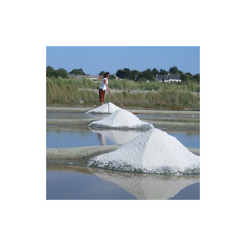 Guerand Salt / Fine Salt / Cell Marine (Fine) /