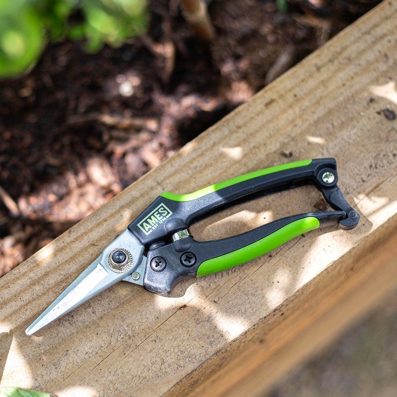 AMES Precision Snips