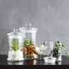 KMWARES 3PCs Set Small Mini Clear Glass Premium Quality Apothecary