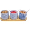 Set of 3 Marble Ceramic Condiment Spice Jars With Spoons