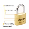 SEPOX 2-Pack Premium Solid Brass Padlock Keyed Alike, 1-9/16" 40mm