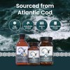 ARMORICA ARMORICA Fermented Cod Liver Oil | Cold-Processed & Naturally