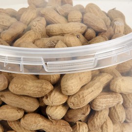 Garden Ting Premium Peanuts In Shell Monkey Nuts 3L Tub